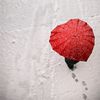 aminah_sa