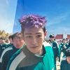 rish_v8