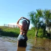 gleicefreitasdesouza0707