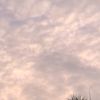 hitamm_070