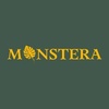 monstera_ykt