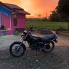 wongtulus_wel