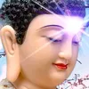 dy42bjfxq43z