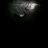 miamor_0528