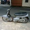 grandisel