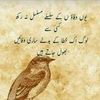 ranajazab505
