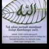 Aries Ketung