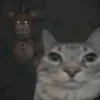 miszonk_