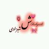 shehzada.2.1.2
