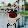 dubxbsnmy