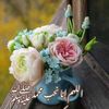 wafaaamin24