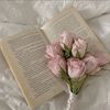 msj.reader