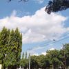 haura_983
