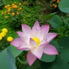 phuongnews