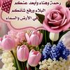 imadtouma