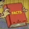the_facts_book
