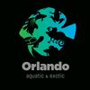 Orlando Picks