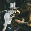 anmilooo