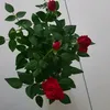 user66p9fifu68