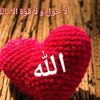 rahmanrz8