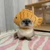 chipnehihi