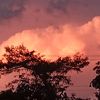 ulises_sv_503