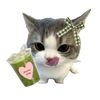kitmeong069