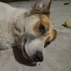 _renaaaaaaaaaa_