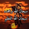 mohamedabdelnaby732