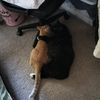 kittyglitters78