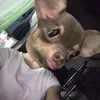 ysaaaaa_103