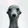 user4ujh0ulltw