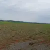 tkvalner