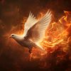 godfrey_anatol