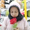 alfazh19