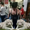 thinh1131986
