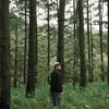 huyinthemood