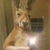 jhcffwee