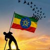 haftehabesha