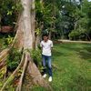 pris_amazihono