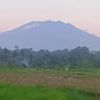 edosaputra3425