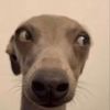 photabew