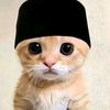 muhammadnurhiday64