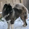 kaykauser