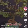 liu.hng12