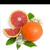 nabilchoukri857
