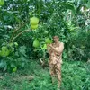 kimchinguyenthi69