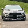 lmustangt350