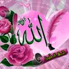 user7350421122242