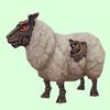 sheeppreacher